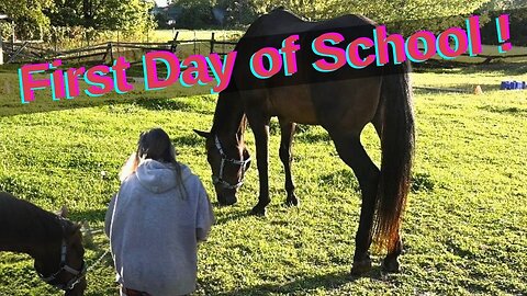 Our Plans For Chino! The Devastating Effects Of A Late Stage Lyme Disease