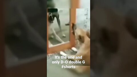 It's the one and only D-O double G #shorts