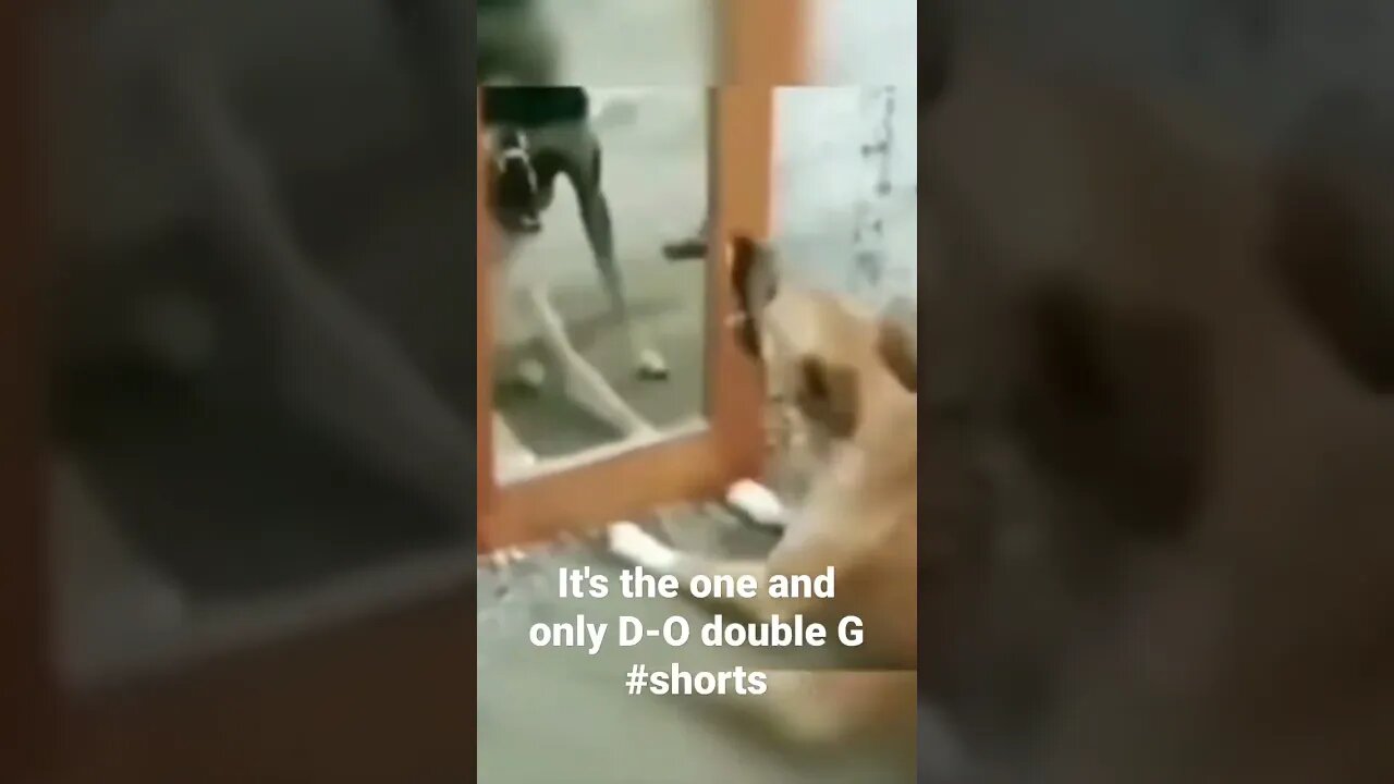 It's the one and only D-O double G #shorts