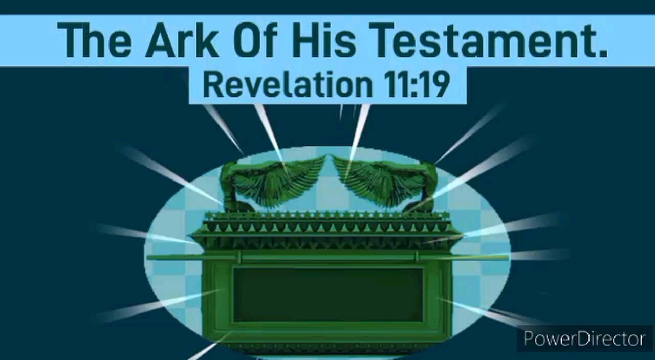 What Is This Ark Of The Testimony Seen In Heaven?