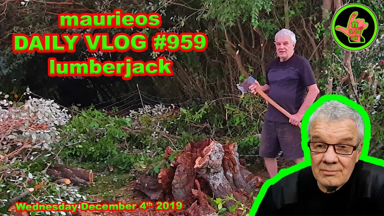 maurieos DAILY VLOG #959 lumberjack