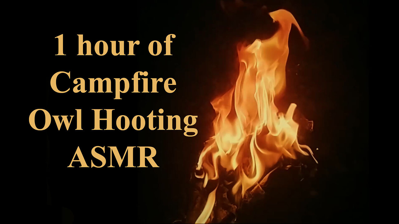 Campfire ASMR Owl Hooting soothing ASMR for sleep and relaxing