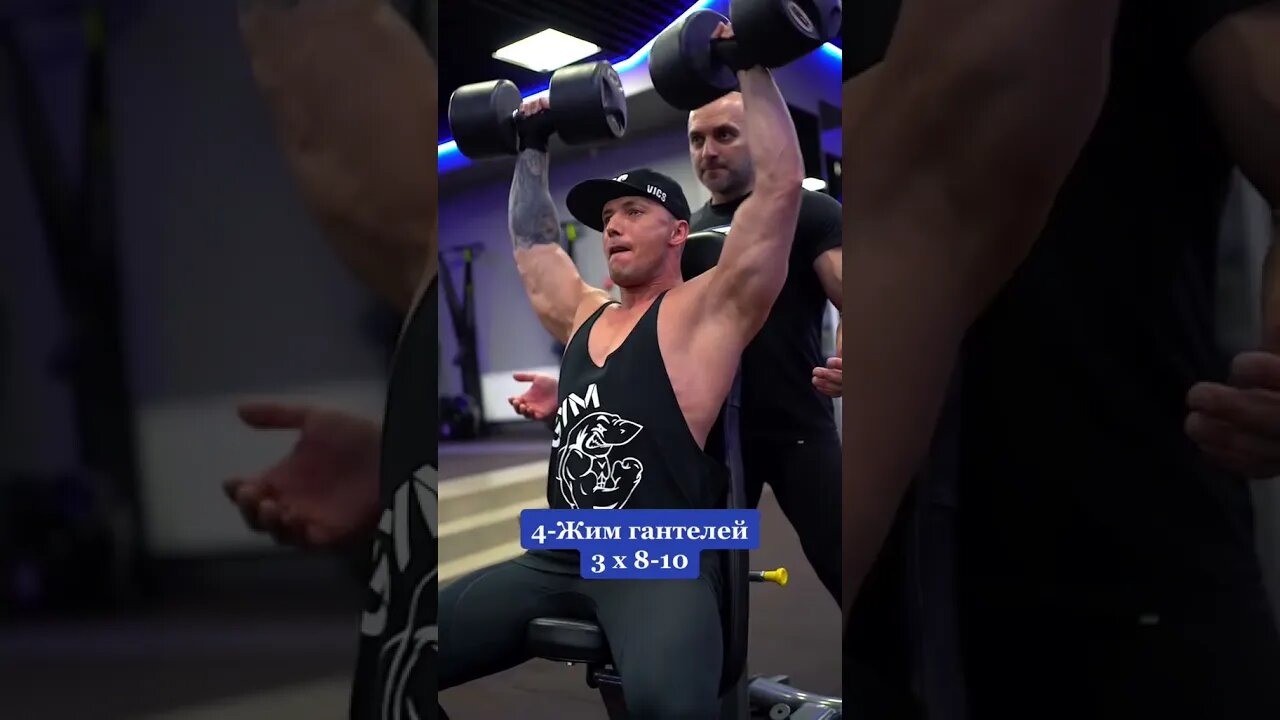 Workouts/Nutrition