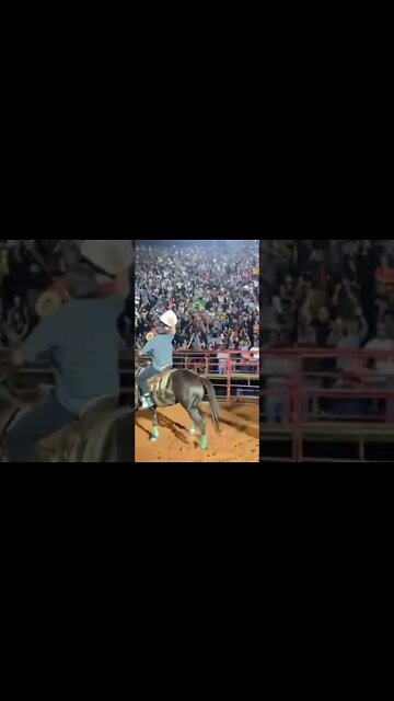 AGORA: BOLSONARO ENTRA DE CAVALO EM BARRETOS