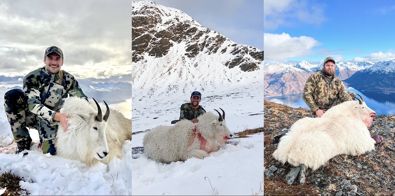 Hunting Mountain Goats - Stuck N The Rut Part 1