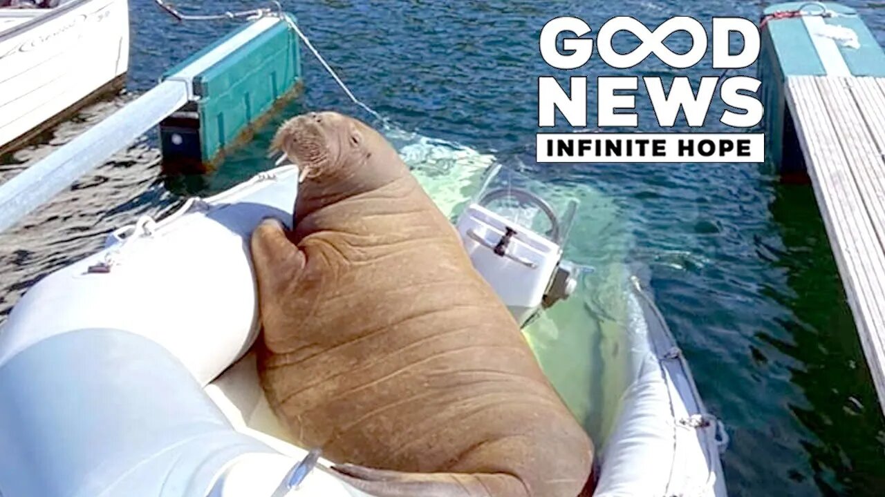 GOOD NEWS - Infinite Hope #93