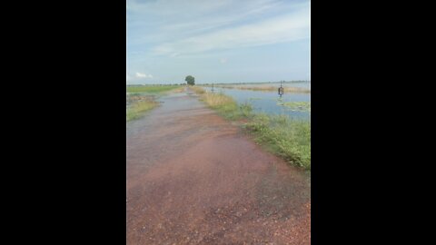 Landscape at Mat Tonle