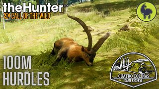 Hundred-Meter Hurdles, Cuatro Colinas | theHunter: Call of the Wild (PS5 4K)