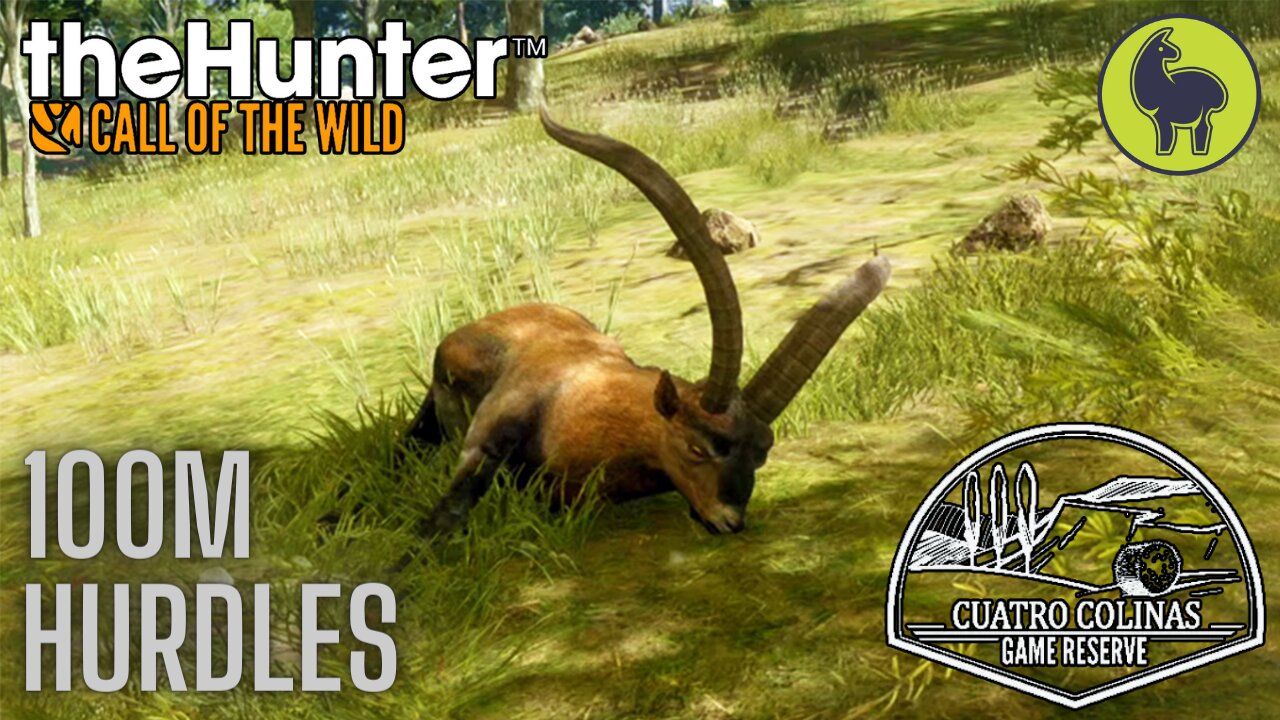 Hundred-Meter Hurdles, Cuatro Colinas | theHunter: Call of the Wild (PS5 4K)