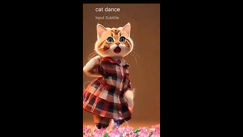 cat dance