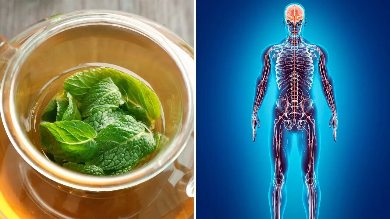 5 Powerful Health Benefits of Lemon Balm (Melissa Essential Oil)