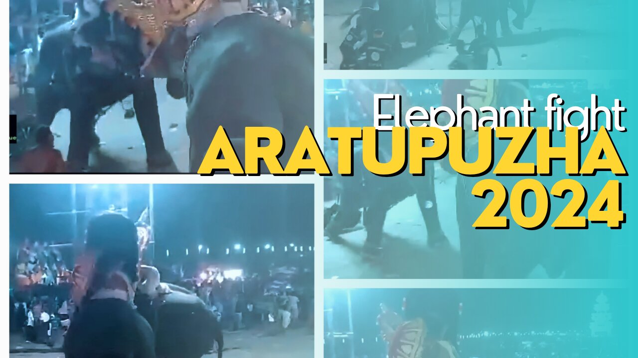 ELEPHANT FIGHT AT Aratupuzha Temple pooram 2024