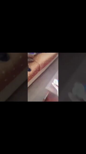 #youtubeshorts #cutecat #kittens #persiancats