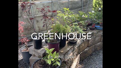 Greenhouse