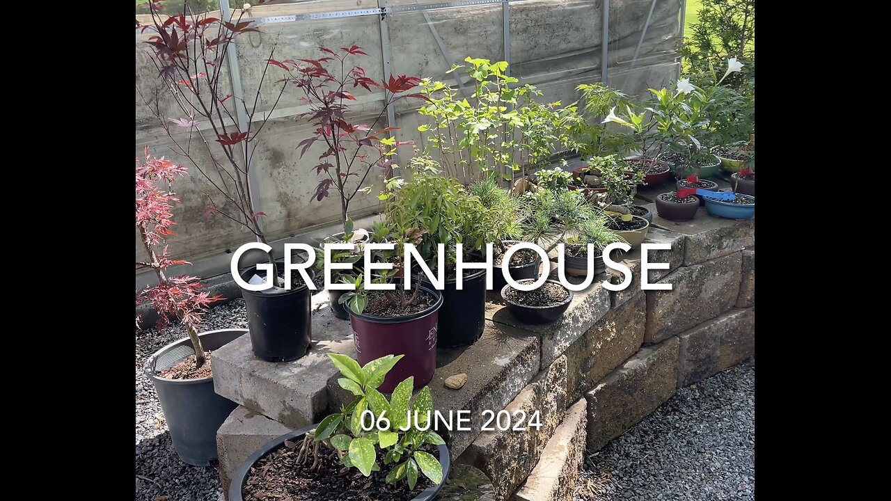 Greenhouse