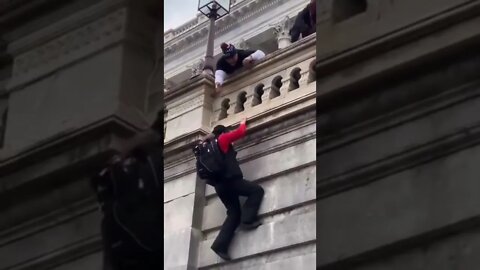 clearly the most dangerous and organized terror group in America 🙄