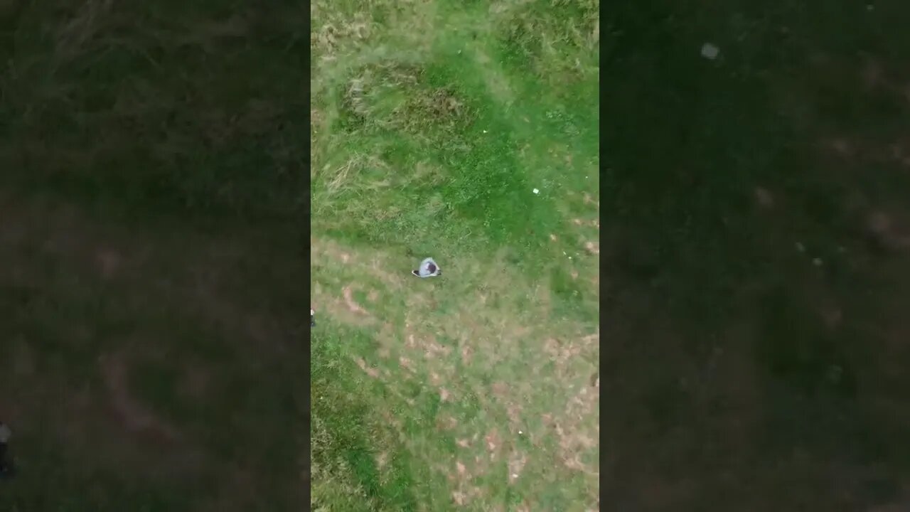 Flying down with a drone