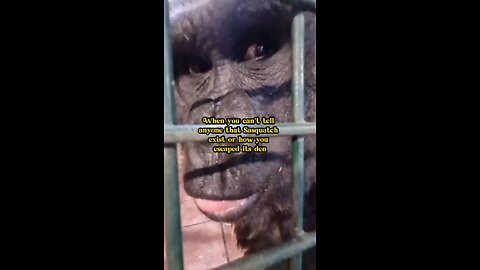 How’d you Escape?