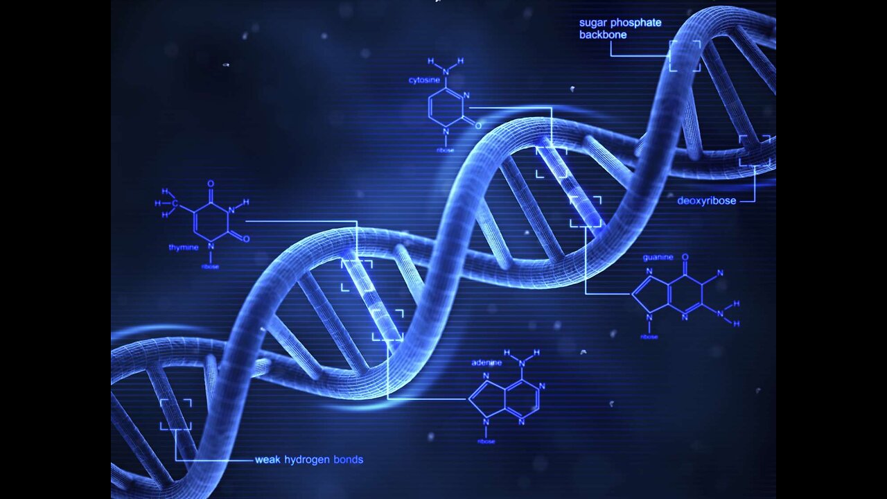 Unlocking the Secrets of DNA: A Journey into the Blueprint of Life