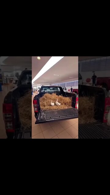 Ford Ranger - Mundo Off Road