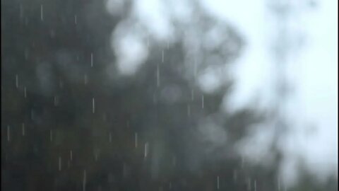 🎧🎼Rain and thunder sounds for sleep - Relaxing rain noises - Concentration sounds for studying🎼🎧