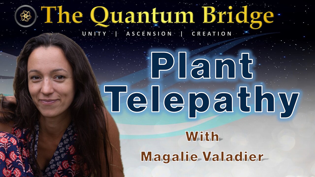 Plant Telepathy - with Magalie Valadier