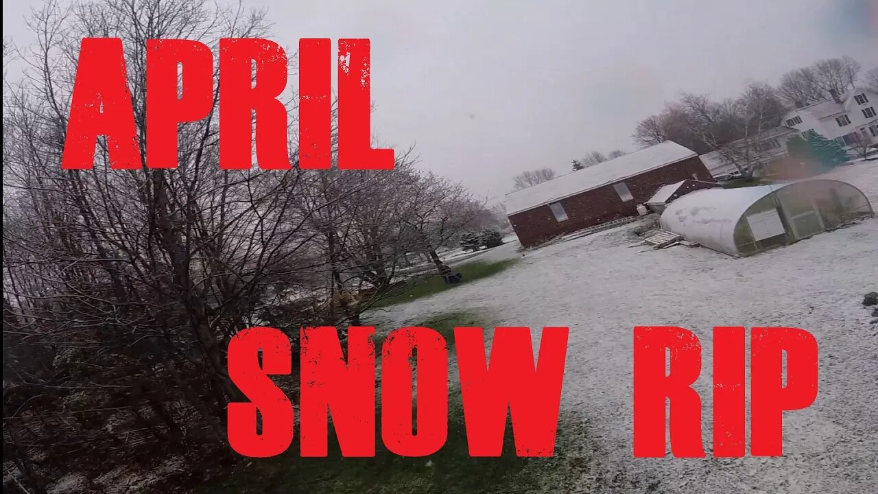 April Snow Rip Emax Buzz 6S