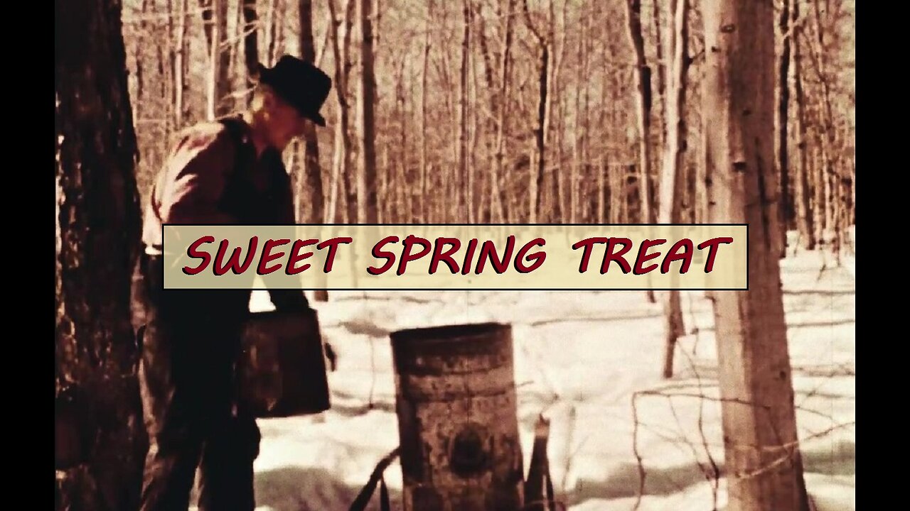 Spring MAPLE SUGAR Harvest (1941) #reset #mudflood #oldworld