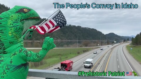 The Prehistoric Patriot supports the People’s Convoy as they roll on 🇺🇸🚛🚚🛻🚗🦖🇺🇸