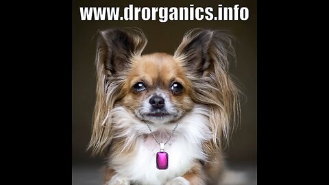 Day333 Miss Priss million dollar dog says coconut oil