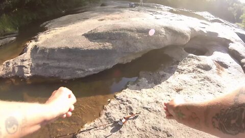 Meeting a very friendly pooch at the river.