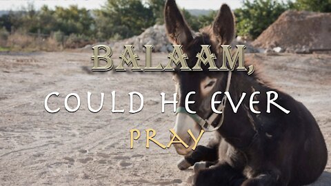 Balaam Could He Ever Pray
