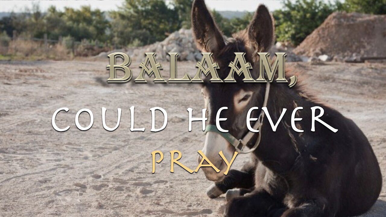 Balaam Could He Ever Pray