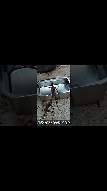 Aliens That Can Dance Visit! 👽👽