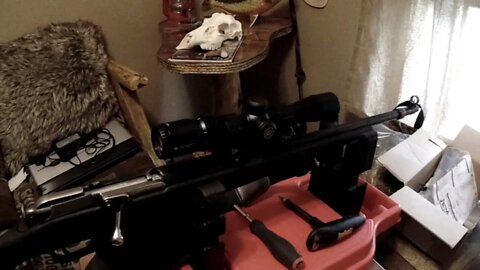 Vortex Crossfire 2 Scout and Mosin Nagant M44