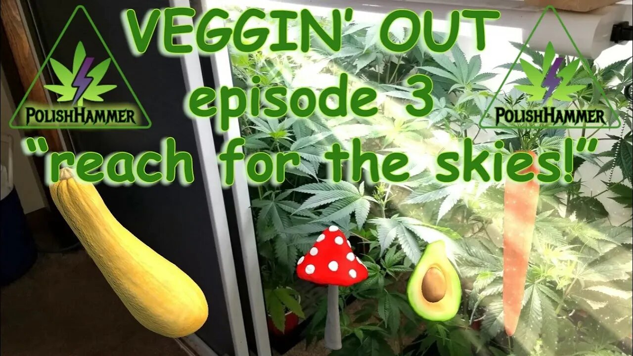 VEGGIN' OUT! w/ PolishHammer Episode 3 "Reach for the Skies!" #SalvageOperation 🥦🍑🍆🔨