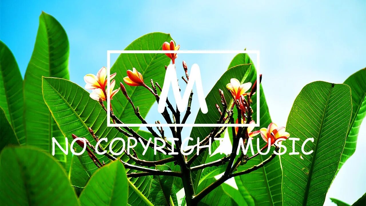 Ikson - Merry（Mm No Copyright Music）