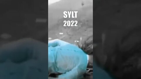 9 Euro nach SYLT 2022! [MEME TECHNO]