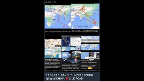 41 DUMBS in China, Asia, Australia, NZ, Netherlands and Europe