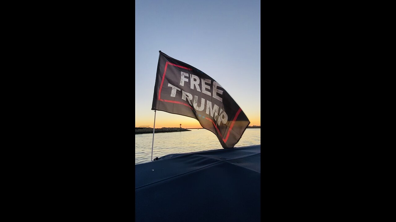 Free Trump