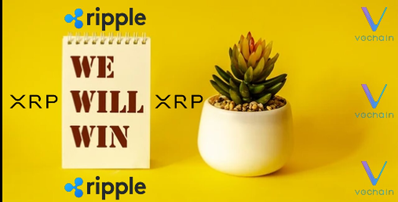 Ripple vs SEC & Vechain!