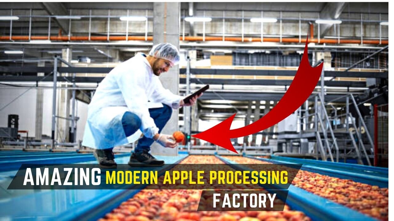 Amazing Modern Apple Processing Factory