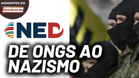 NED e o financiamento de grupos neonazistas | Momentos