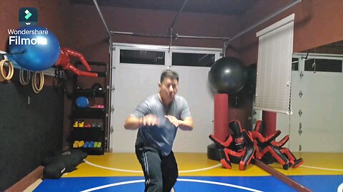 WTD Reverse Crescento Kick