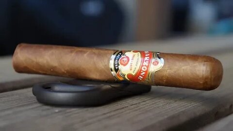 Team Review Recap: Warzone Robusto