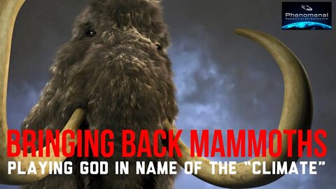 Playing God: The $75,000,000 Project to Bring Back Woolly Mammoths