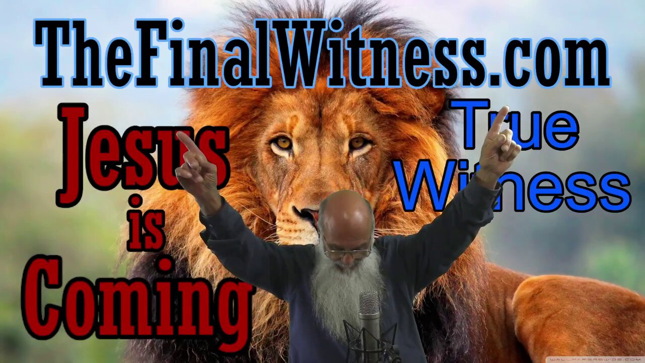 Jeremiah 28 The Pastors also Transgressed Against Me, and The Prophets Prophesied by Baal