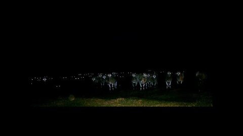 Tuesday morning on the ranch..