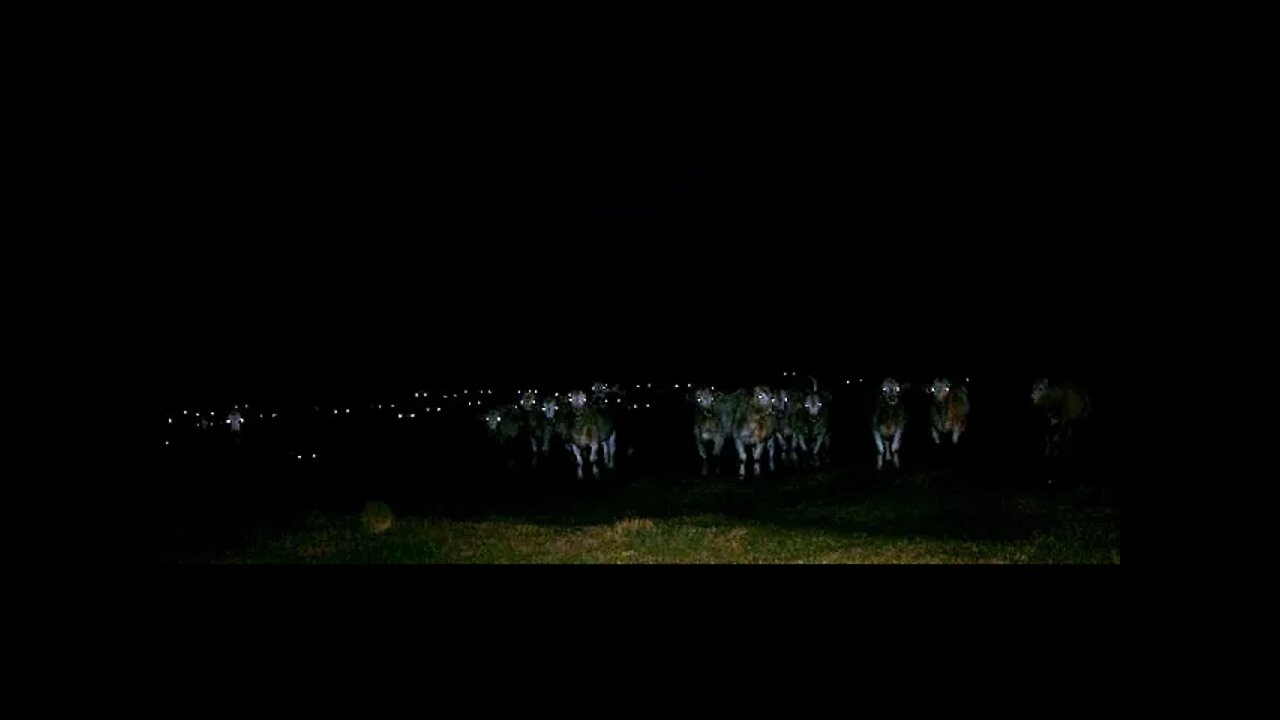 Tuesday morning on the ranch..