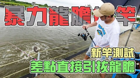 【台客去釣魚】三小時狂釣20隻UP！試竿差點引拔龍膽？ feat.八方漁養殖場